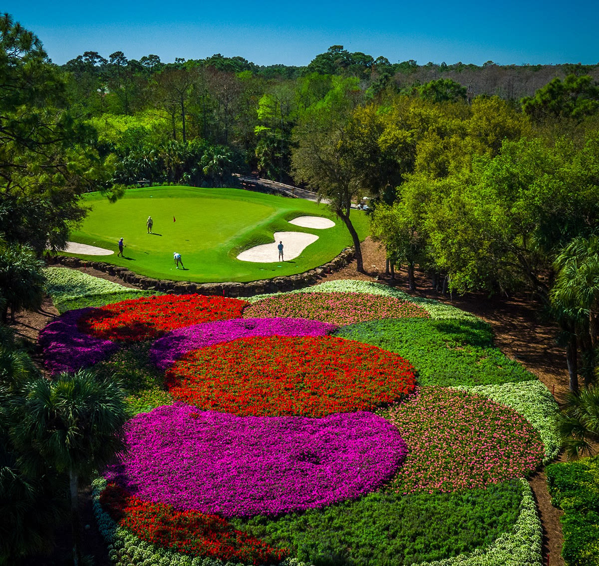 QUAIL WEST GOLF & CC