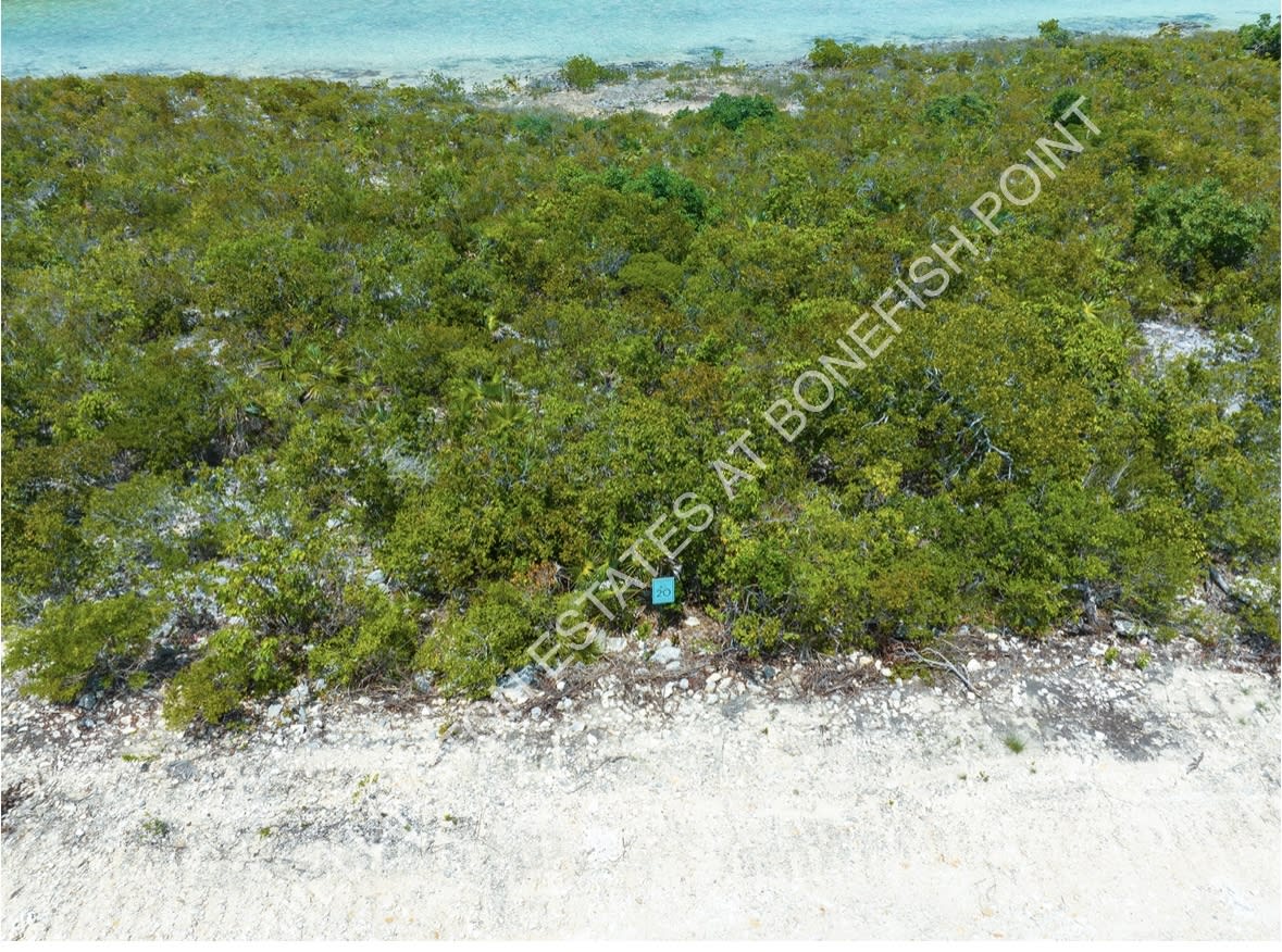 Lot 20