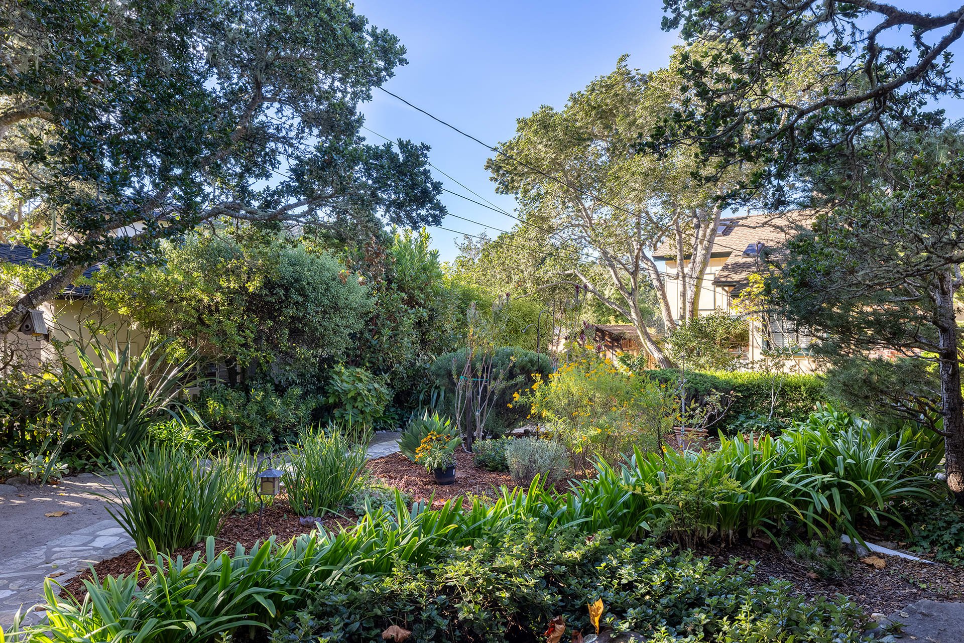 Carmel Pearl - 24656 Guadalupe St