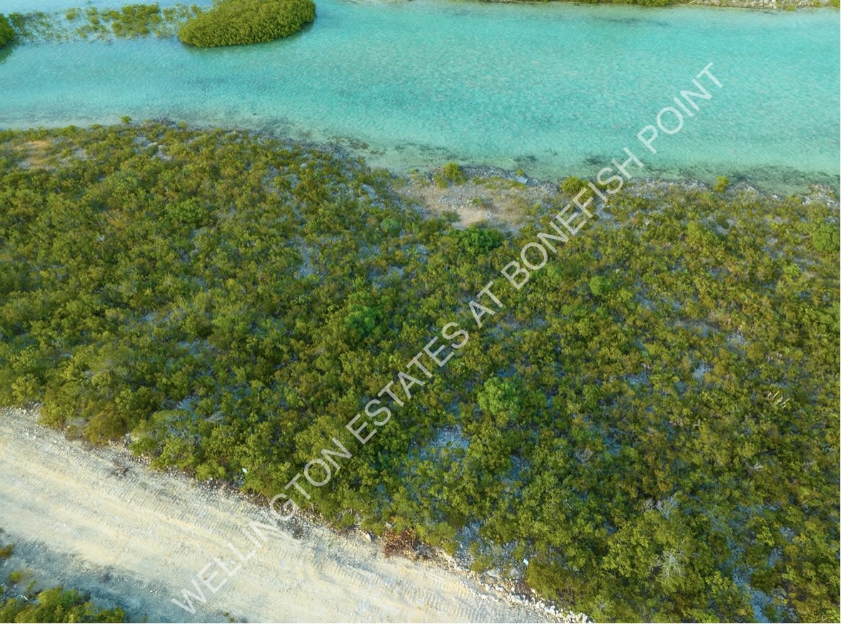 Lot 21