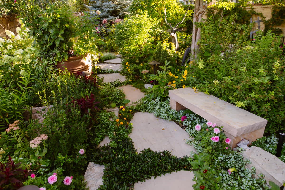 Backyard Bliss
