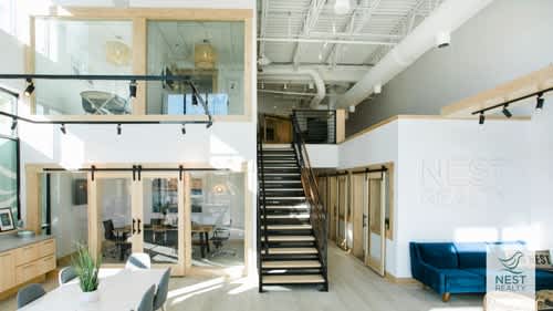 Nesty Zoom Backgrounds