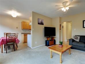 382 Burnside Rd