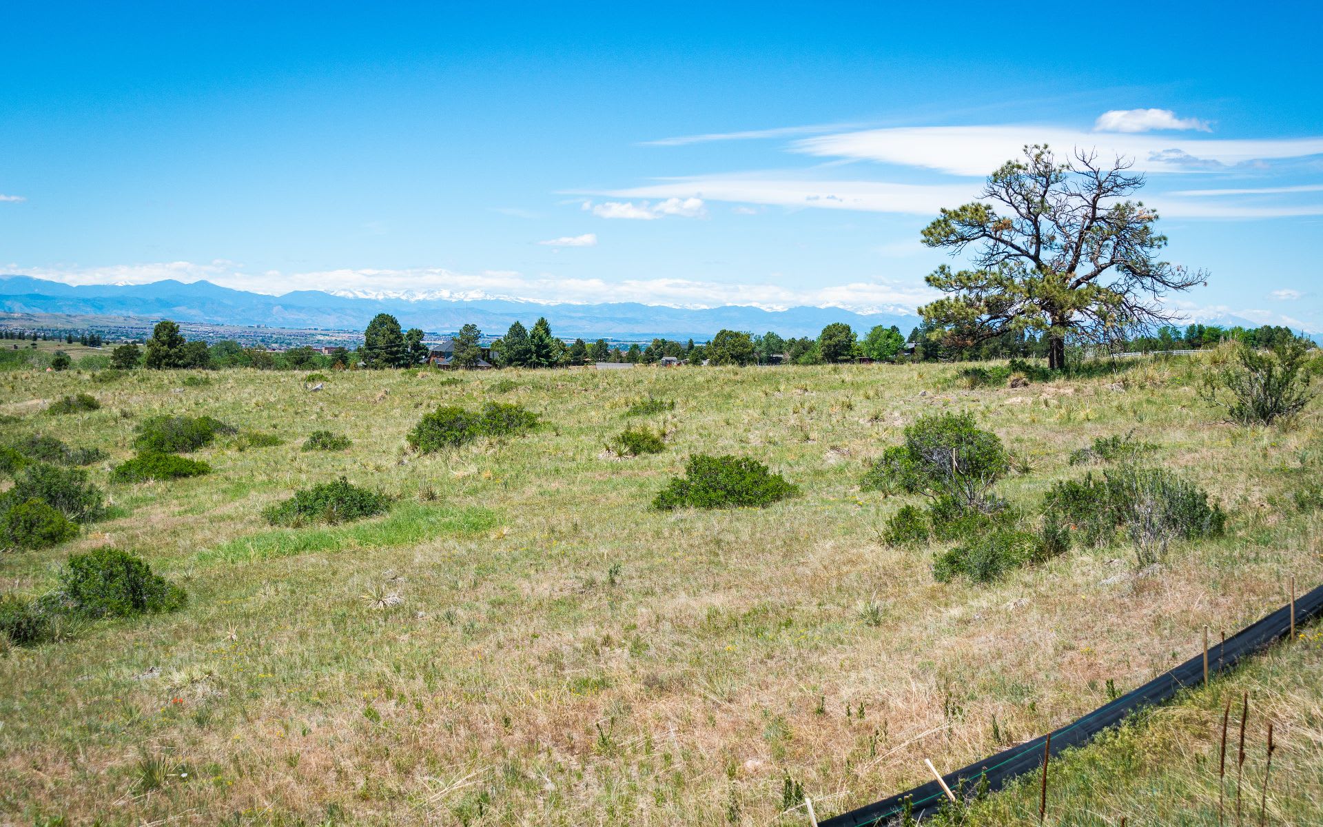 8317  Merryvale Trail