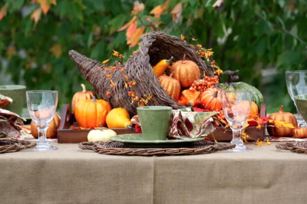 Thanksgiving Food Drive: Helping Neighbors in Need