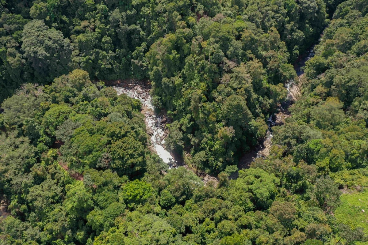 Private 5-Acre Riverfront Property with Ocean and Mountain Views | San Josecito