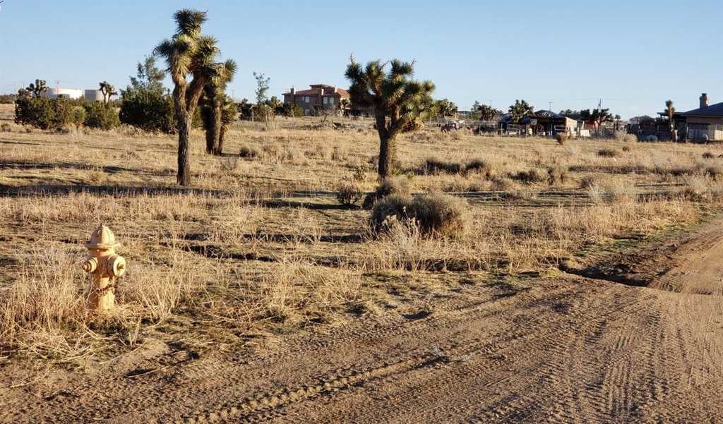 Tumbleweed Road