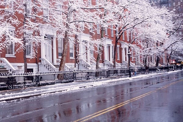 The Market Report: February 2023