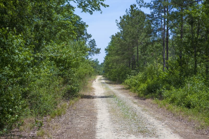 Wilson County 1550 Acres