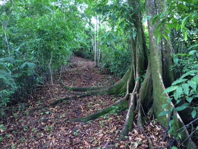 Prime Scenic Development Land, Manuel Antonio, Puntarenas