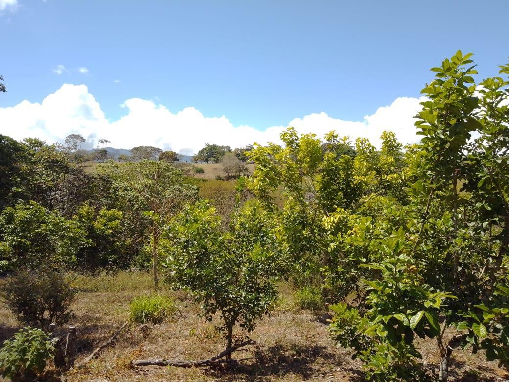 Mountain Fruit Farm Lagoon, Perez Zeledon, San Jose