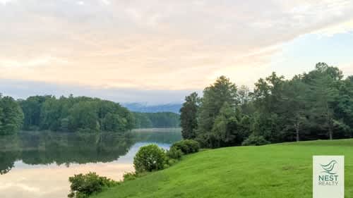 Nesty Zoom Backgrounds