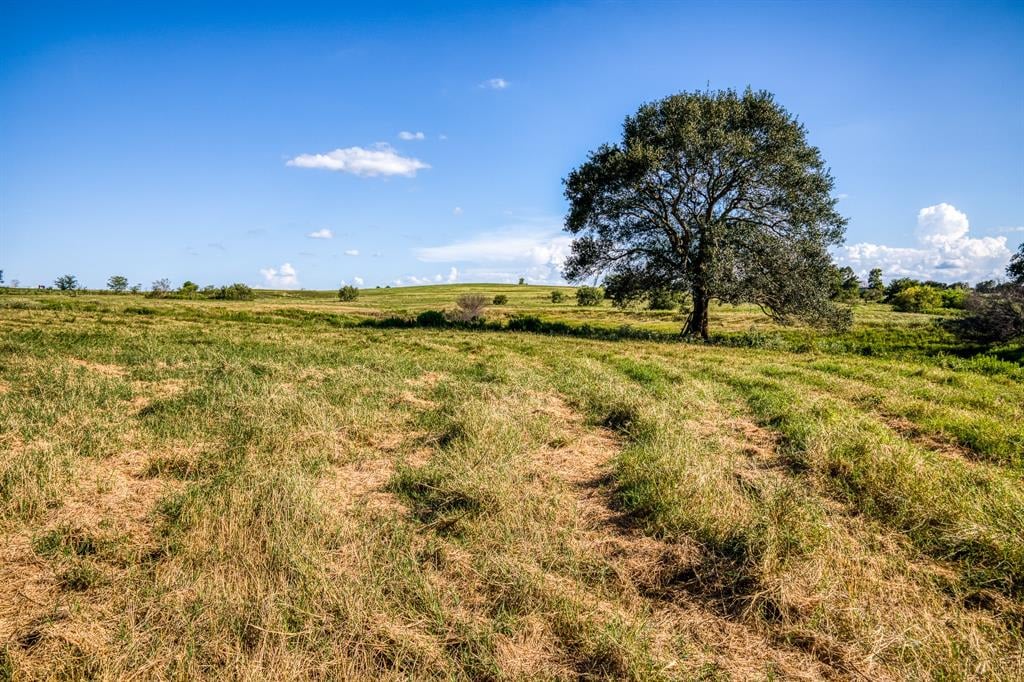 500 Spring Creek Rd Brenham, Tx 77833