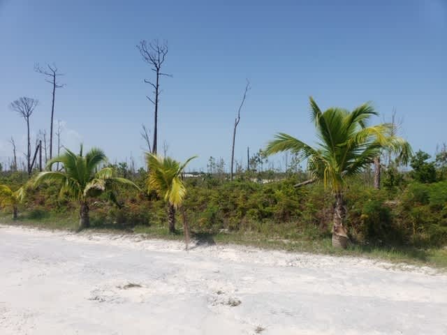 Bahama Coral Island Vacant Land