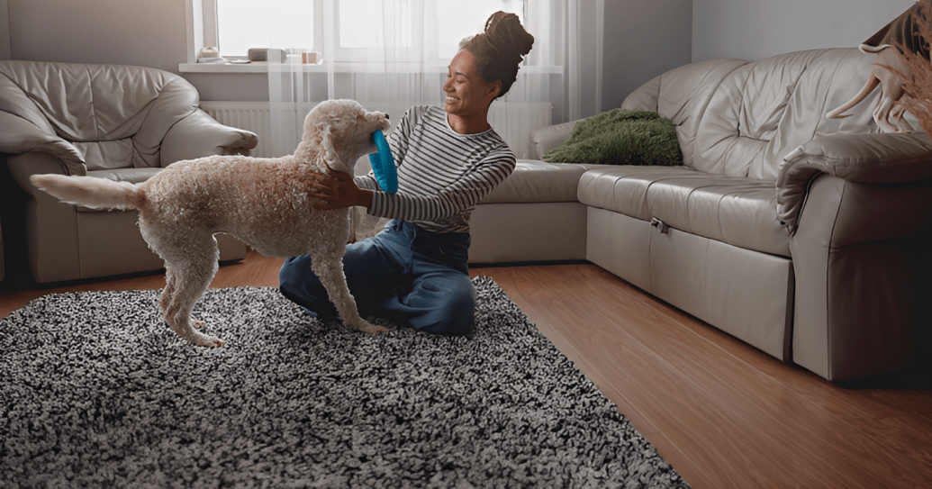 Updating Your Home Insurance Policy
