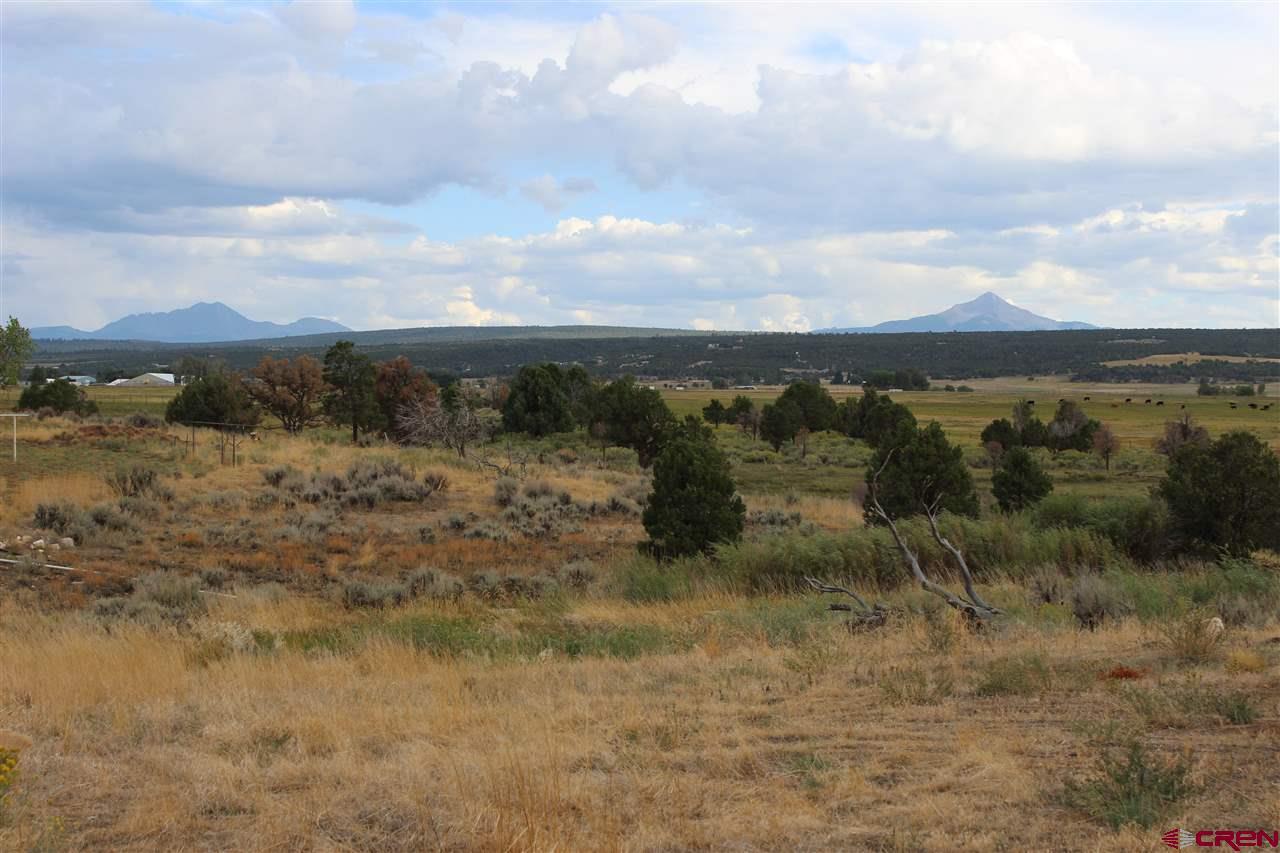 TBD Pioneer Circle #6 Dr