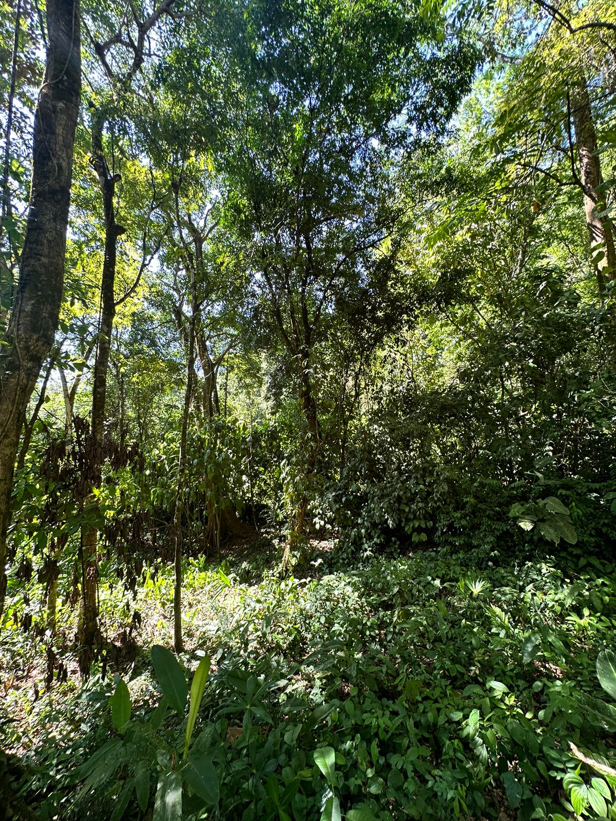 Your Dream Coastal Retreat Awaits: Prime Investment Opportunity in Playa Hermosa, Bahía Ballena