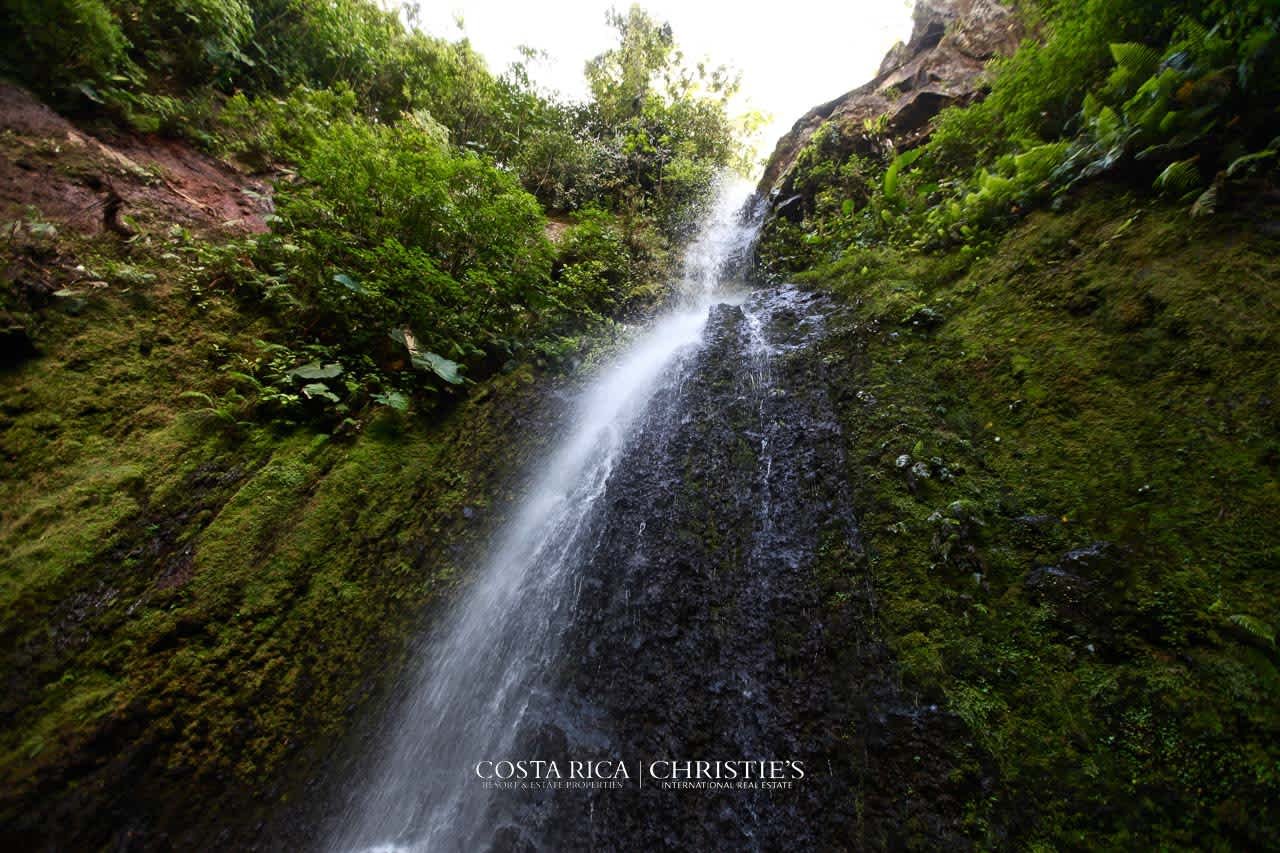 Selvatico Waterfall Garden