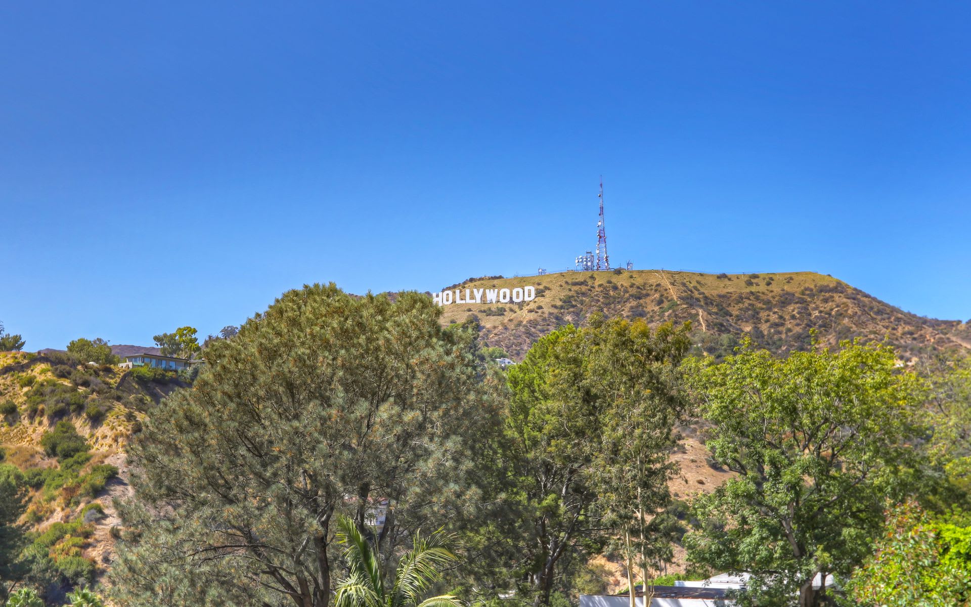  3110 Hollyridge Dr
