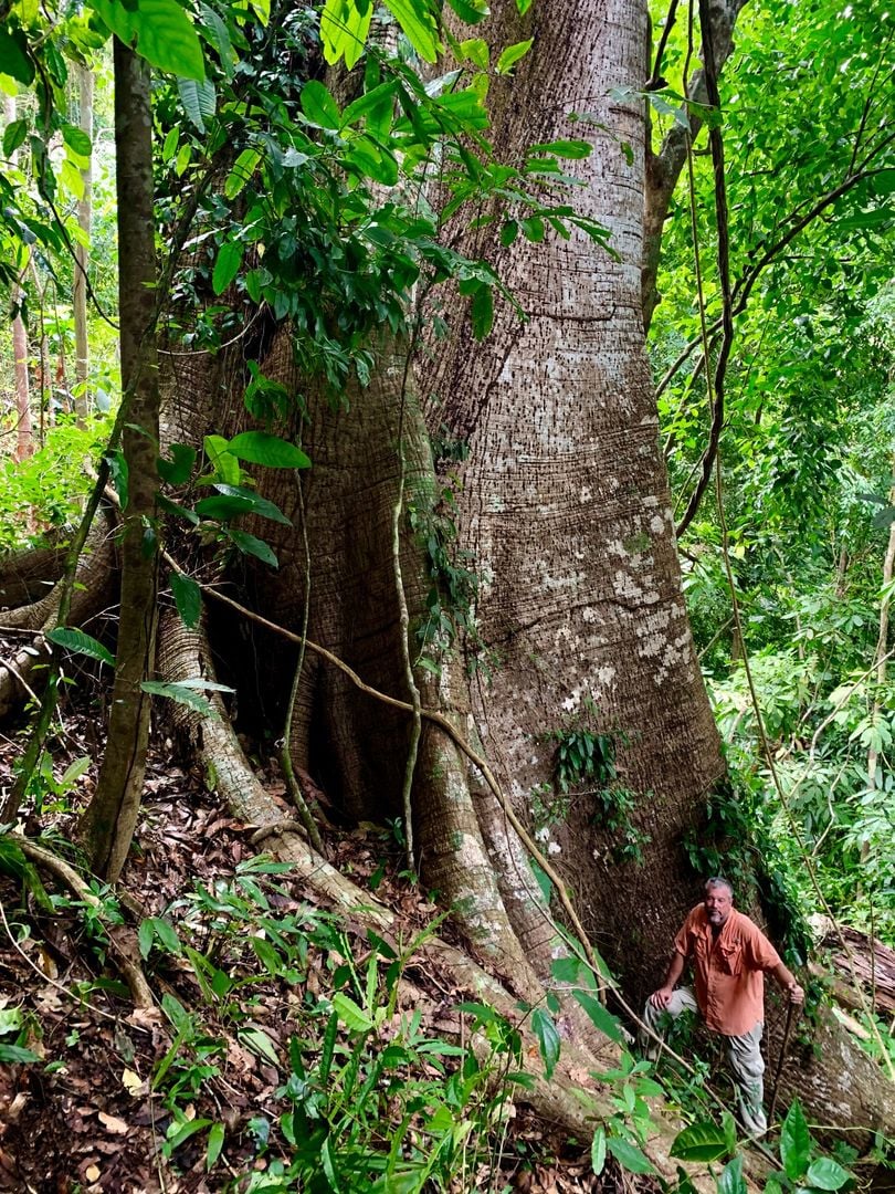 Triple Waterfall Ocean View Land, Dominical, Puntarenas