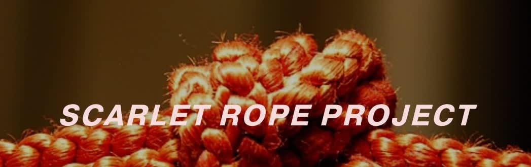 Local Love – Fall/Winter 2020, Part 3