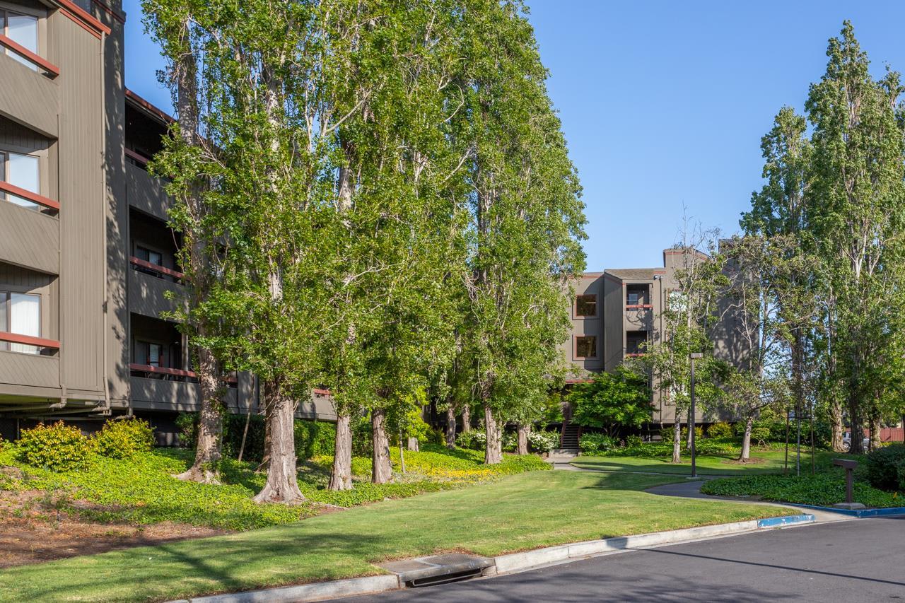 820 Sea Spray Lane, #215, Foster City 94404