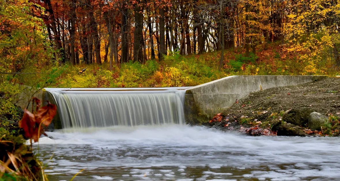 13 Places to See Fall Foliage in Chicago