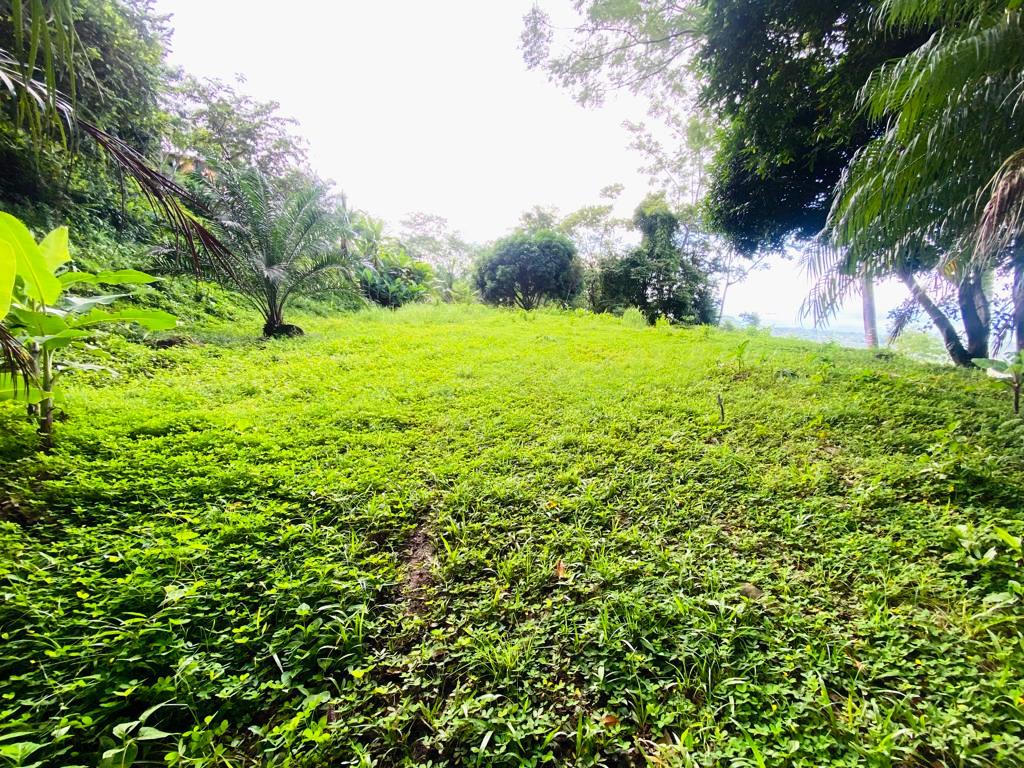 Gorgeous 1.43 Acres in Uvita Costa Rica Your Slice of Paradise Awaits