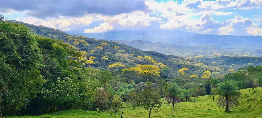 Natureza Viva