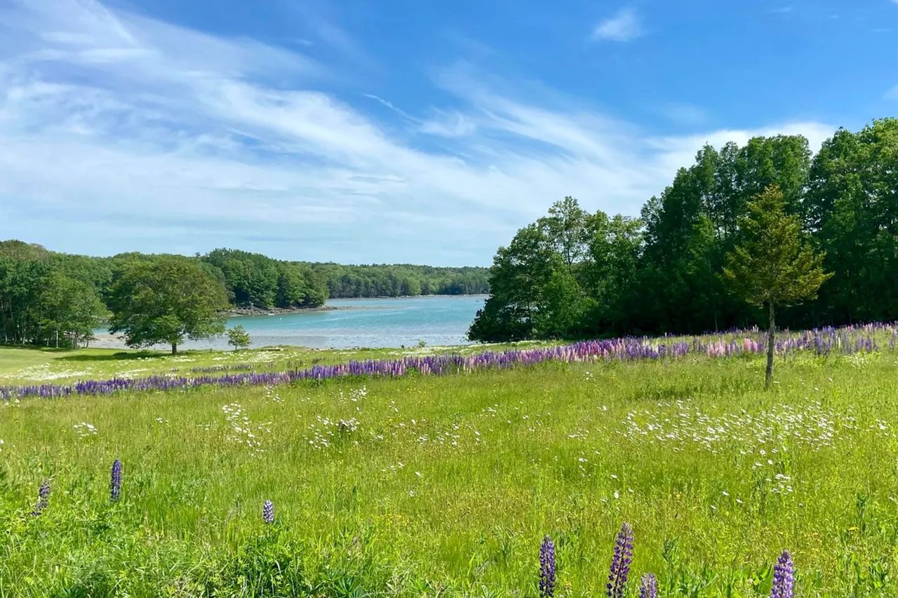 New Waterfront Land Listing! 49C Pleasant Point Road, Boothbay, Maine – $599,000