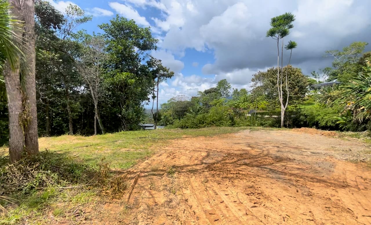 Dulce, Uvita Lot 34 Ocean View and Ready to Build! Gated Community!!