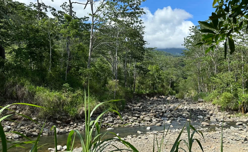 A Tranquil Haven: Prime Investment Opportunity in Uvita's Lush River Enclave