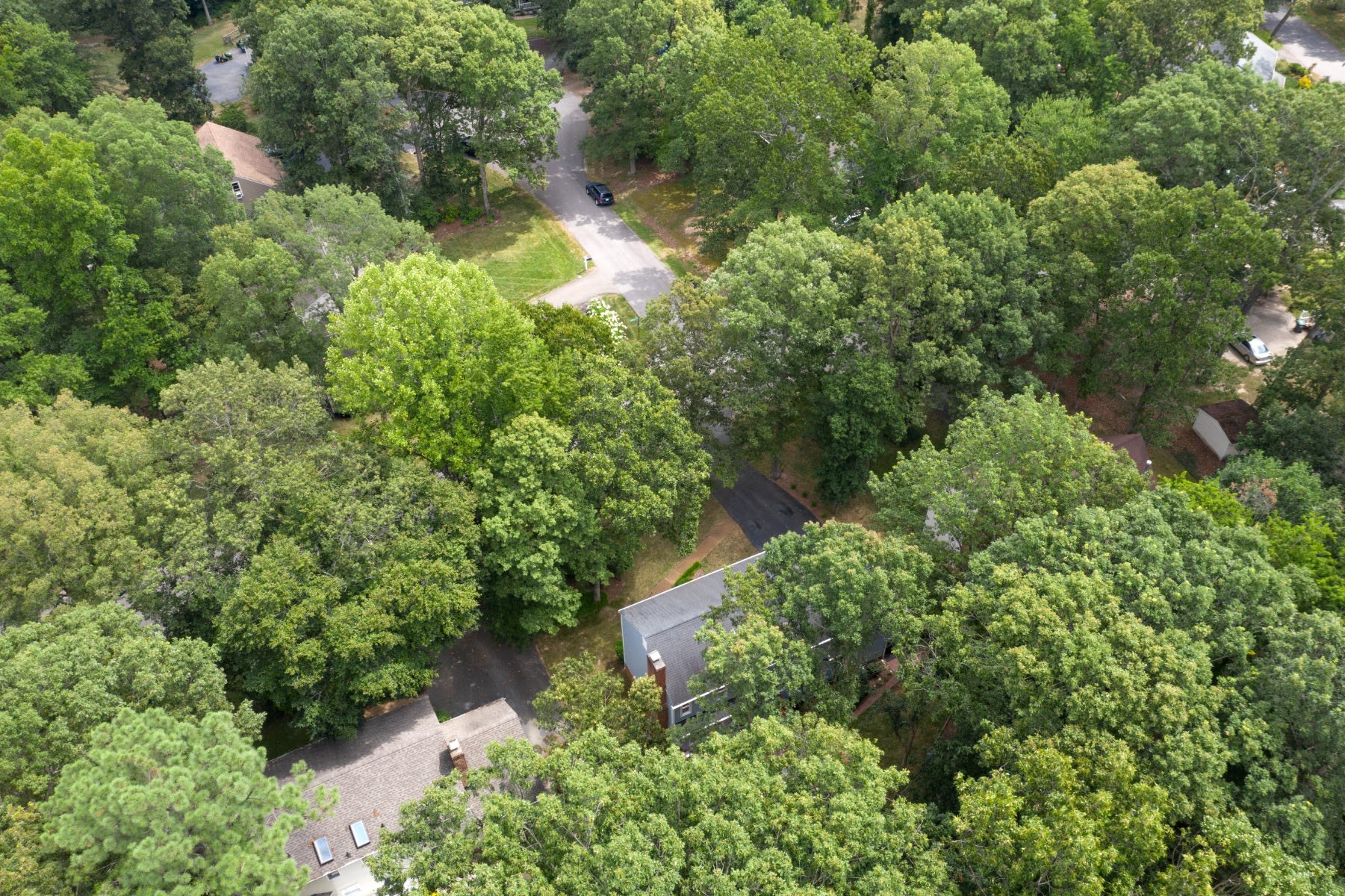 12819 Ashtree Road
