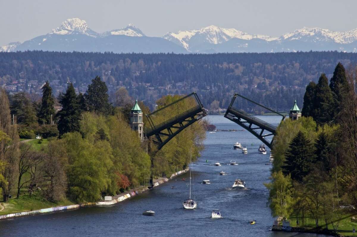 Montlake Seattle 