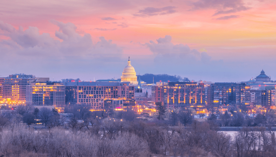 How is the DC Real Estate Market Performing in 2024?
