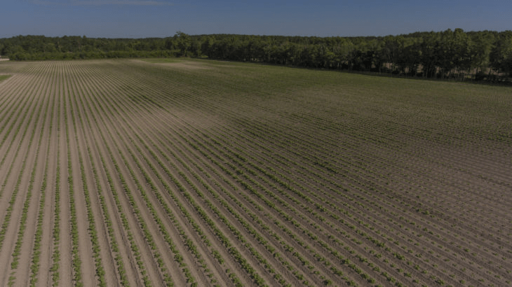 Finding Your Needle in a Haystack: Farmland for Sale in NC