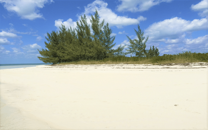 Joe's Cay