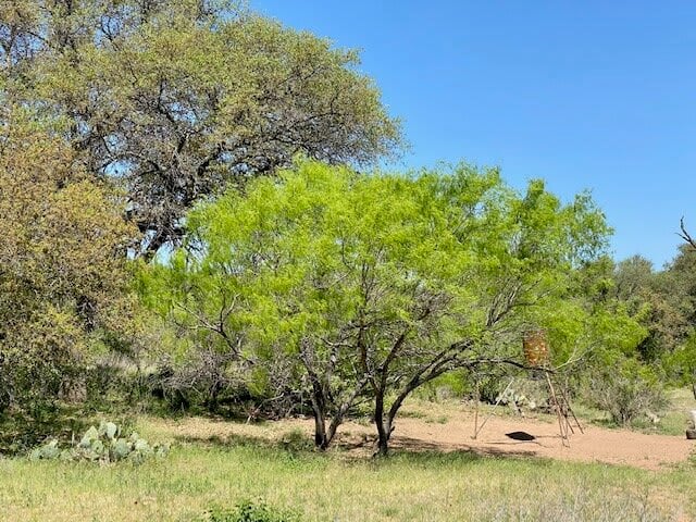 Llano Granite Ranch