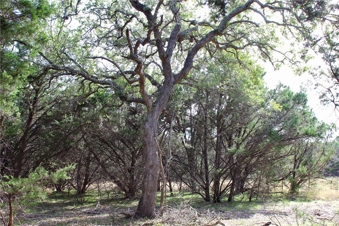000 Sierra Loma