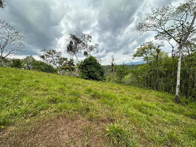 Buena Vista Land | Mountain Home Construction Site For Sale in Bijagua