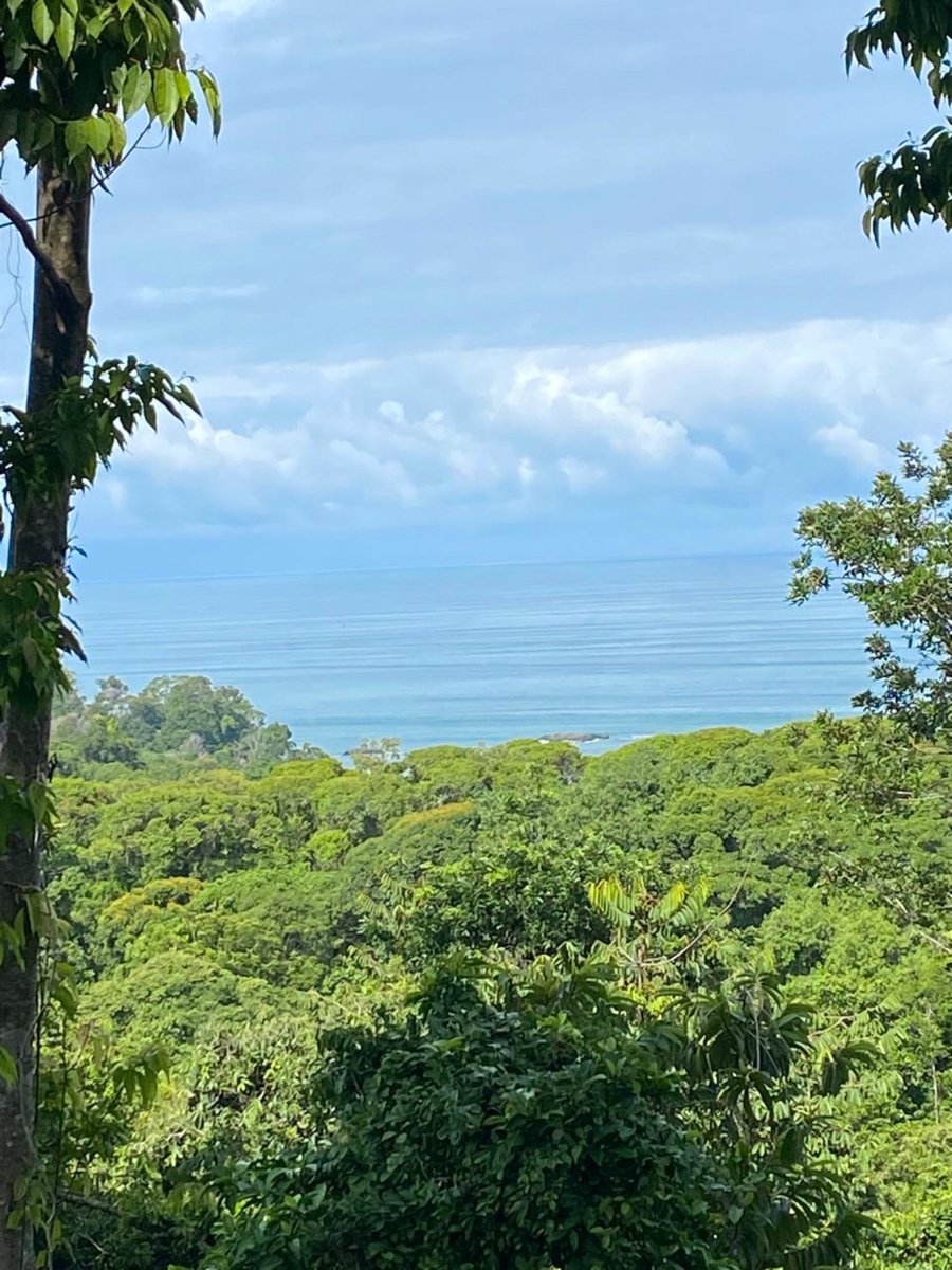 Secluded Ocean View Development Land, Ojochal, Puntarenas