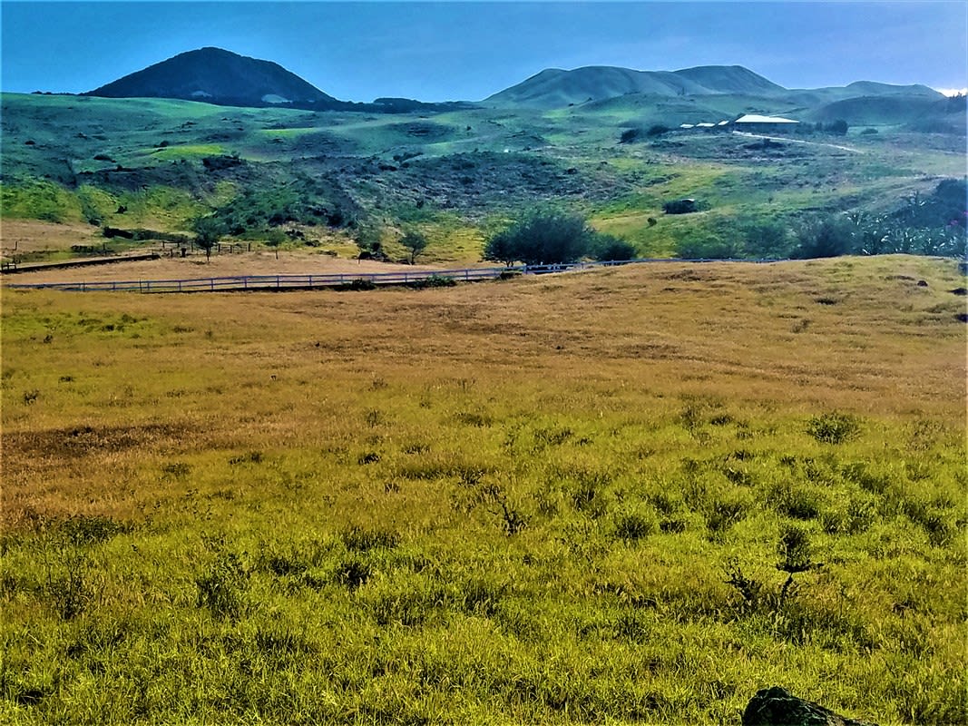 Kohala Ranch Rd Lot 149