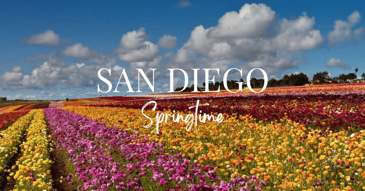 From Beaches to Breweries: The Top Things to See and Do in San Diego This Spring