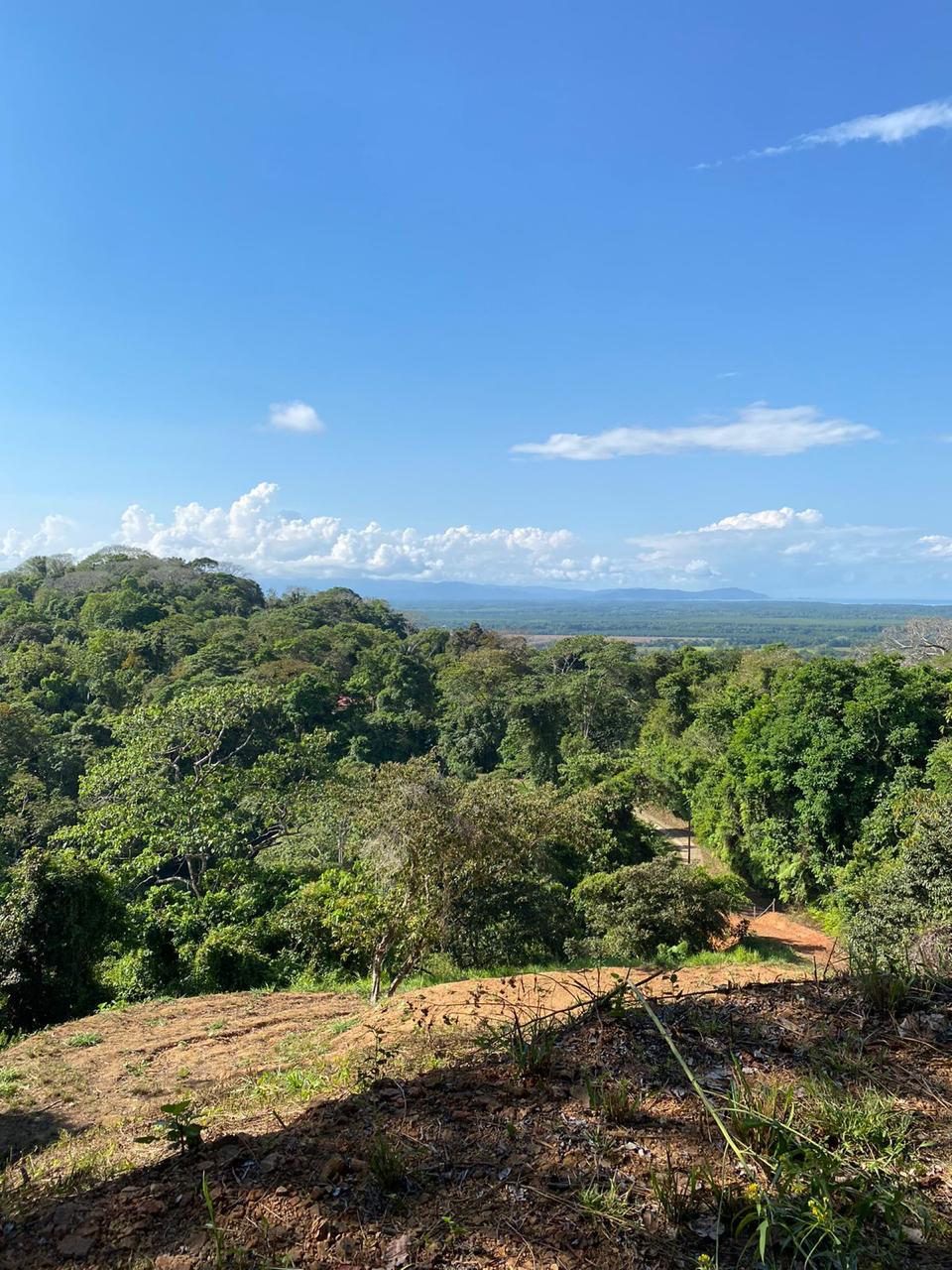 Stunning Ocean view & Mountain view property