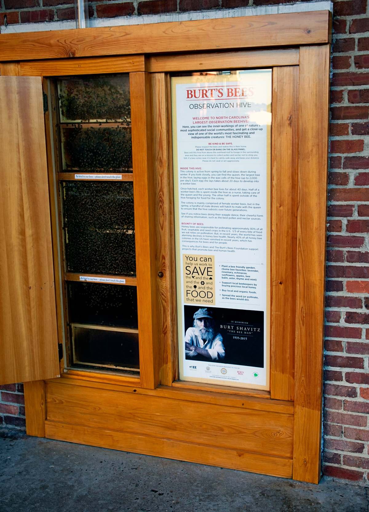 Local Love – Part 2