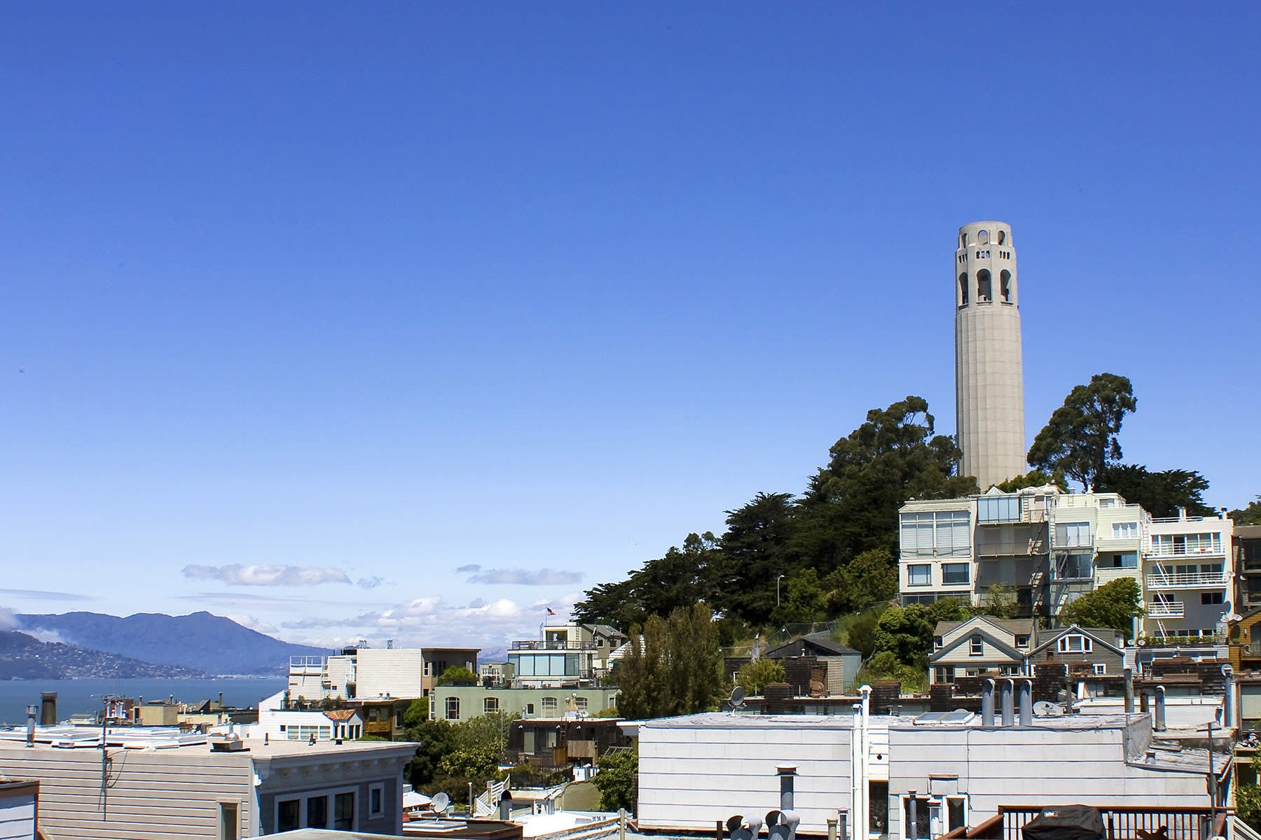 1342 Green Street, Unit 5