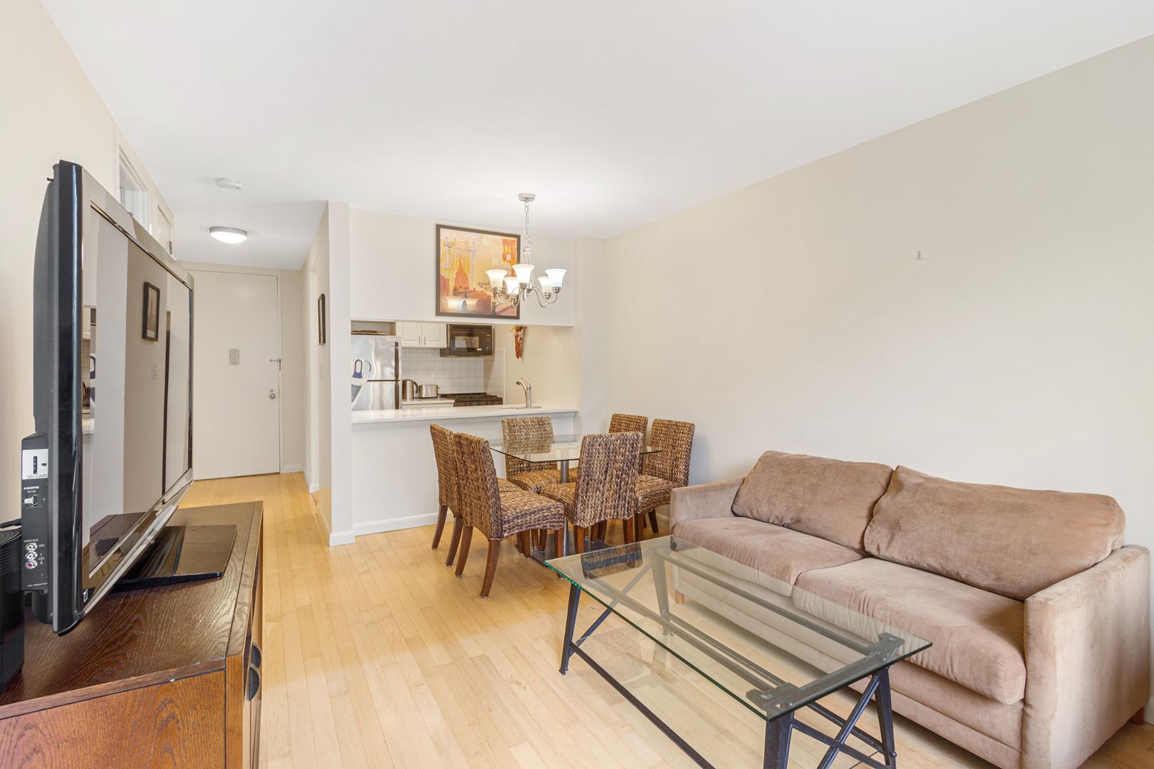 300 Albany Street, Apt 3-E