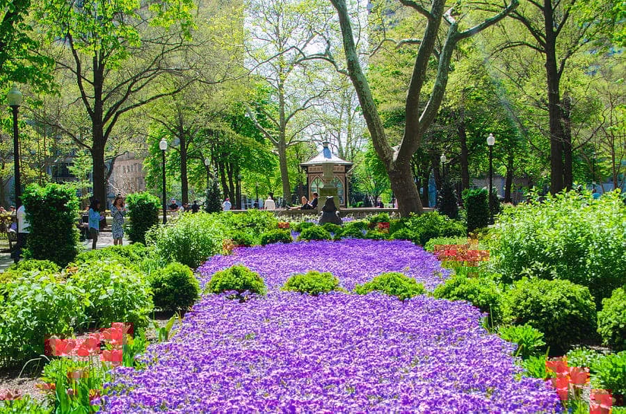 A Guide to Upscale Neighborhoods: Explore Philadelphia's Most Exclusive Communities