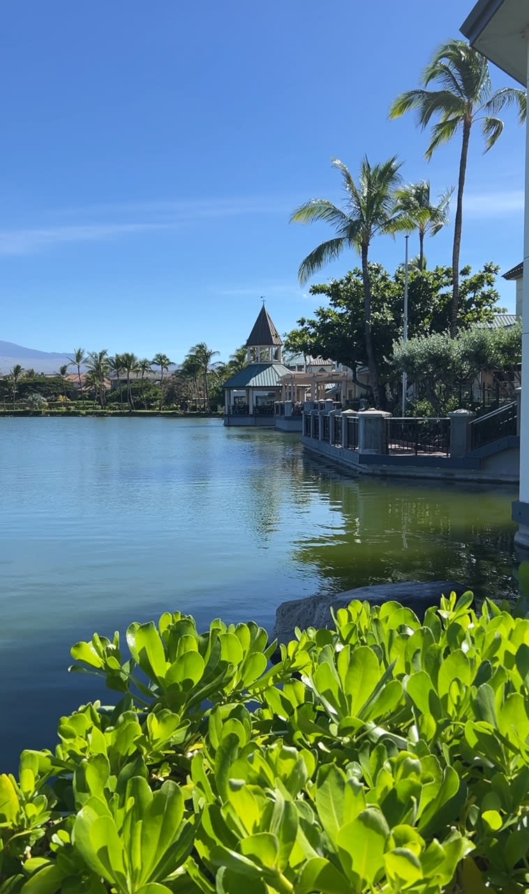 Waikoloa - Makai (Oceanside) 