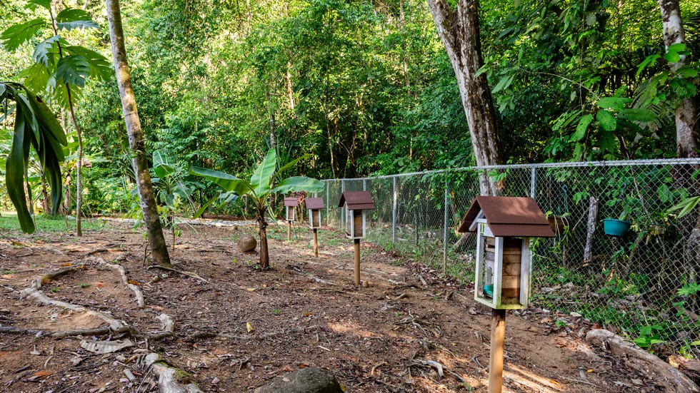 CUSTOM BUILT LUXURY RETREAT WITH GUEST VILLAS IN OJOCHAL